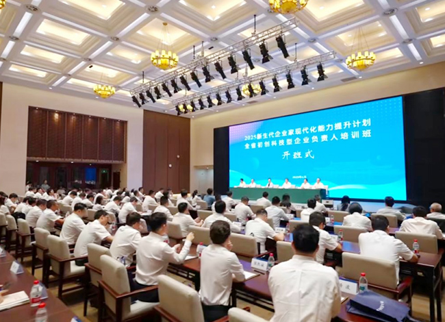 Strengthening Capabilities to Promote Enterprise Transformation and Upgrading