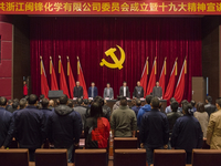 2017—Present